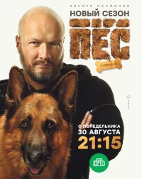 Пёс бесплатно